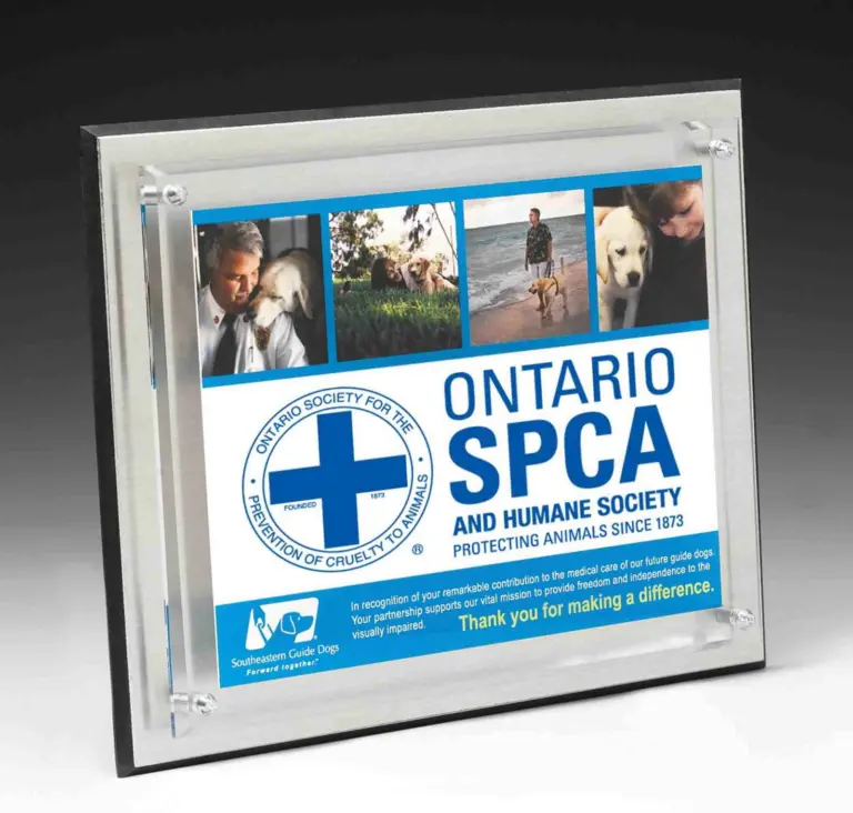 Non-profit and charity promotional product