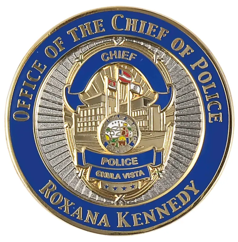 Custom police challenge coins, double sided struck brass, for police departments