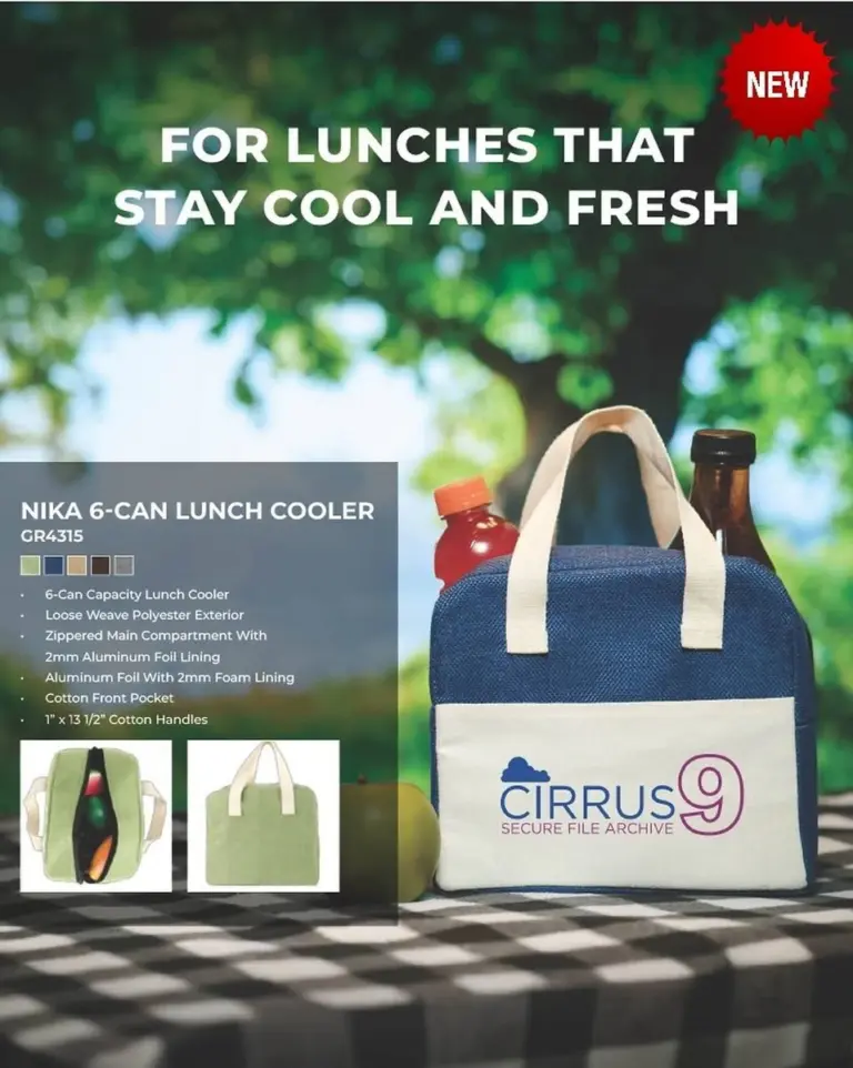 New 2026 promotional lunch bag