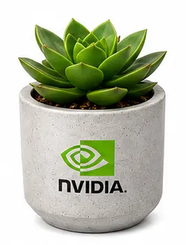 Small succulent in a concrete planter with a custom logo